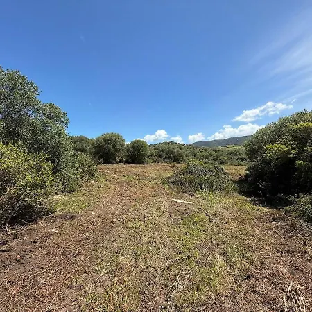 Casa Golfo Asinara,ocean View, Private Pool, Fully Air-conditioned, Secluded Location וילה