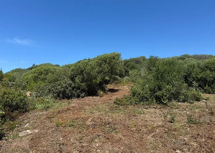 Вилла Casa Golfo Asinara,ocean View, Private Pool, Fully Air-conditioned, Secluded Location